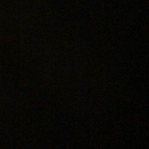 Meet your Posher, Ava